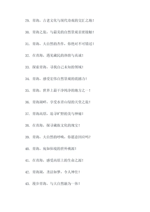 青海旅游的广告语