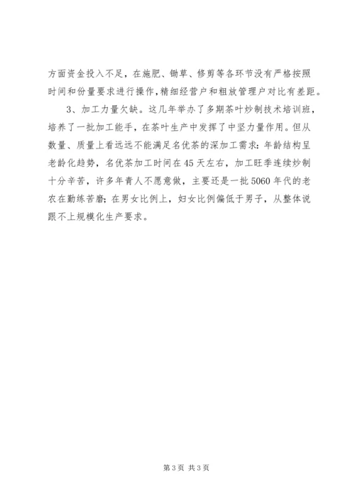 名优茶生产情况调研报告 (4).docx