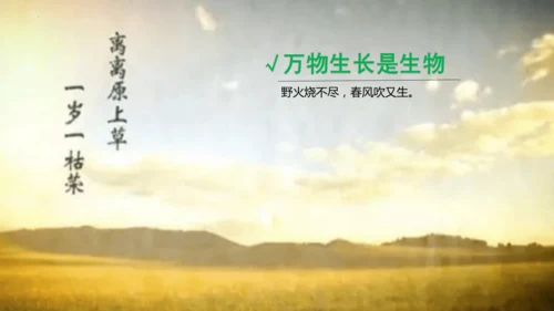 七年级生物学开学第一课-2023-2024学年七年级生物上册同步精品课堂（苏科版）(共32张PPT)