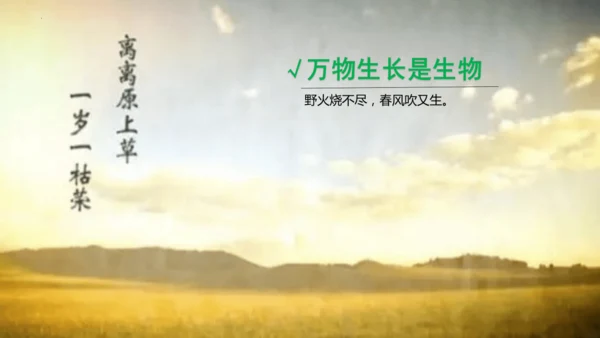 七年级生物学开学第一课-2023-2024学年七年级生物上册同步精品课堂（苏科版）(共32张PPT)