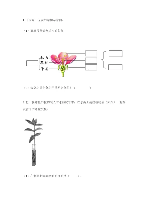 教科版科学四年级下册第一单元《植物的生长变化》测试卷及答案（夺冠）.docx