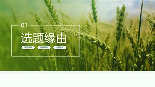 现代农业与资源环境农业大学毕业答辩PPT模板