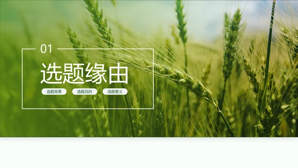 现代农业与资源环境农业大学毕业答辩PPT模板