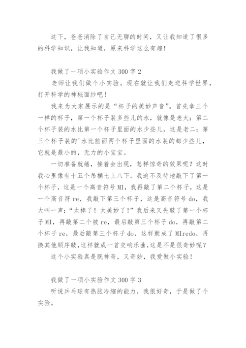 我做了一项小实验作文300字.docx