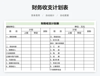 财务收支计划表