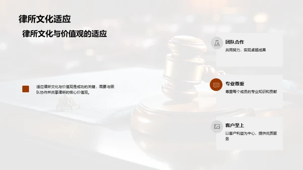 法律精英之路
