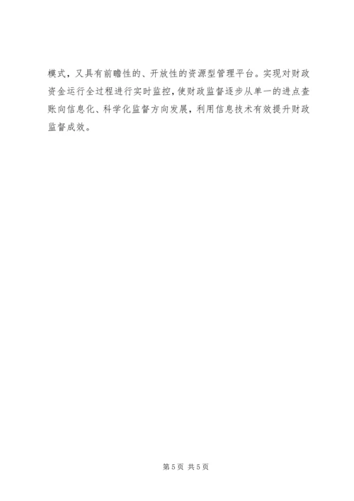 公共财政理论和实践思考.docx