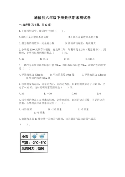 通榆县六年级下册数学期末测试卷（能力提升）.docx