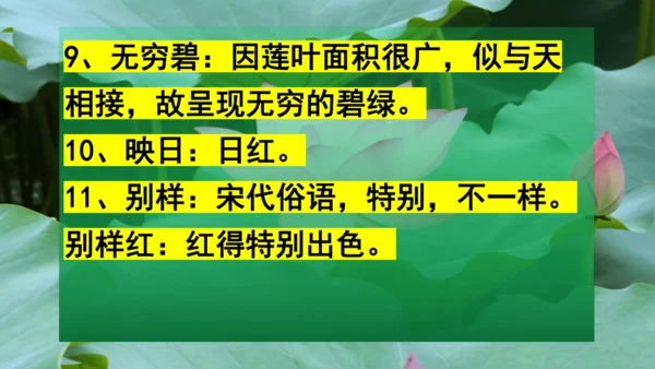 二下《古诗二》第一课时