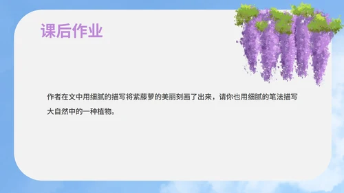 蓝色插画风语文初一下册紫藤萝瀑布教学课件PPT模板