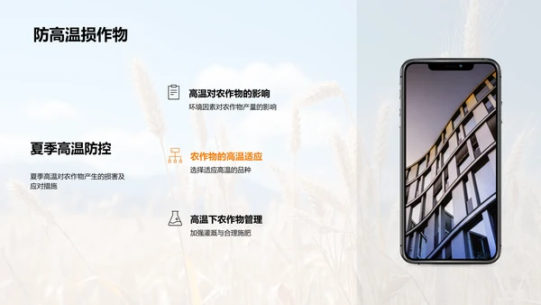 夏至农业气候指导