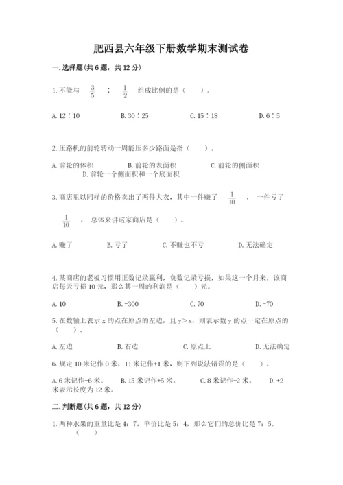 肥西县六年级下册数学期末测试卷（b卷）.docx