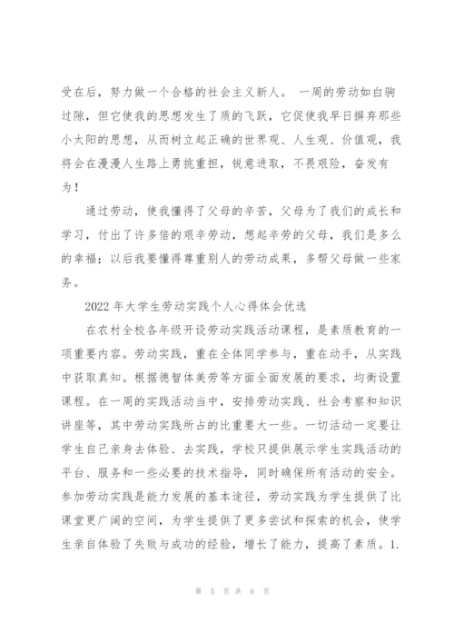 2022年大学生劳动实践个人心得体会优选.docx