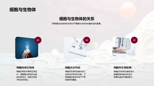 3D风生物医疗教学课件PPT模板