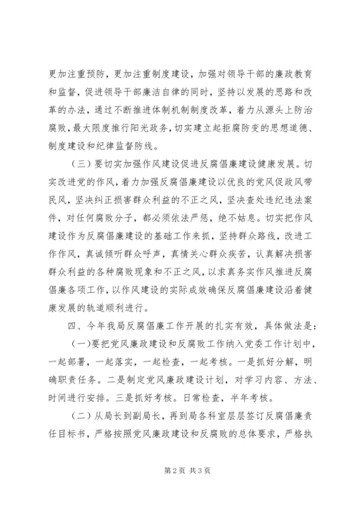 反腐倡廉工作自查报告.docx