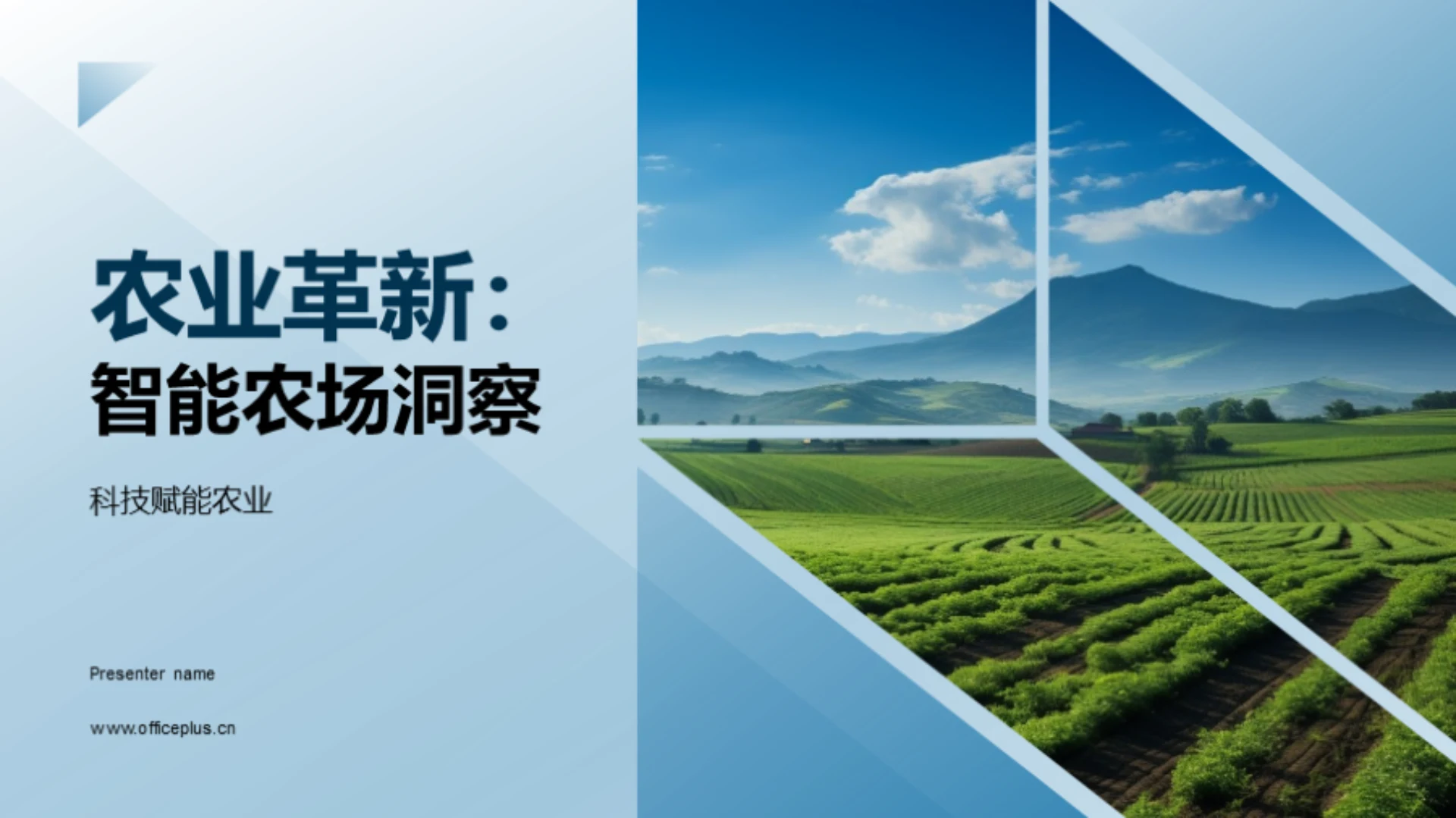 农业革新:智能农场洞察