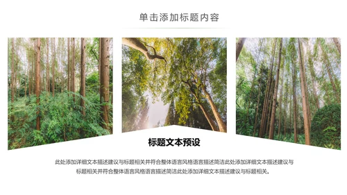 绿色森林植树造林林业木材园动态PPT模板