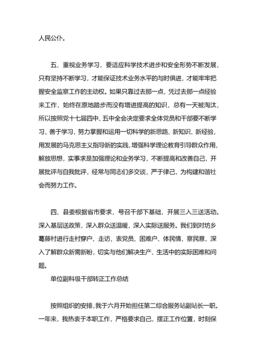 副科级转正个人工作总结.docx