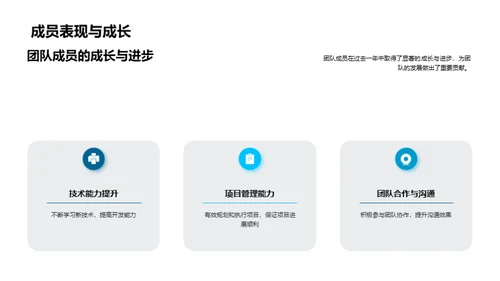互联网项目：年度回顾与前瞻