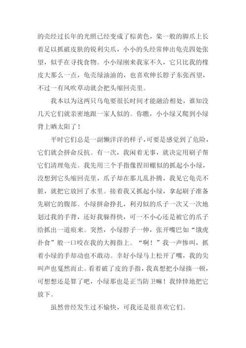 关于小动物的作文200字.docx