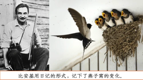 【四上课件】习作三：写观察日记