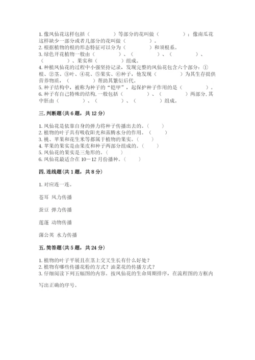 科学四年级下册第一单元《植物的生长变化》测试卷（基础题）.docx