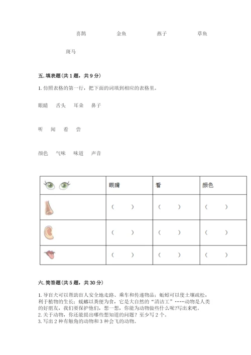 教科版小学科学一年级下册期末测试卷附答案【轻巧夺冠】.docx