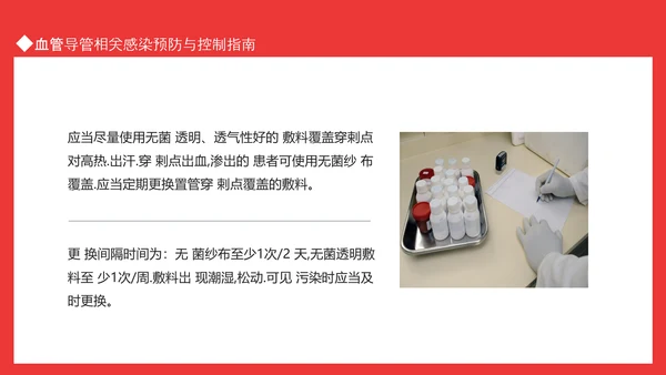血管导管感染相关感染预防与控制指南PPT模板