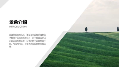 简约风白色景色介绍PPT