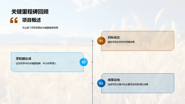 农业项目经验解析
