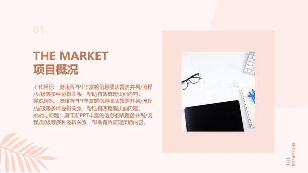 简约欧美风粉色工作汇报计划书PPT