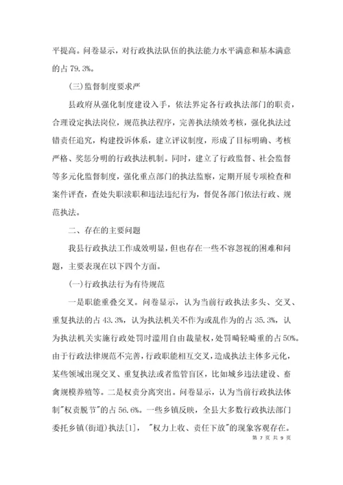 乡镇行政执法社会调查报告3篇.docx