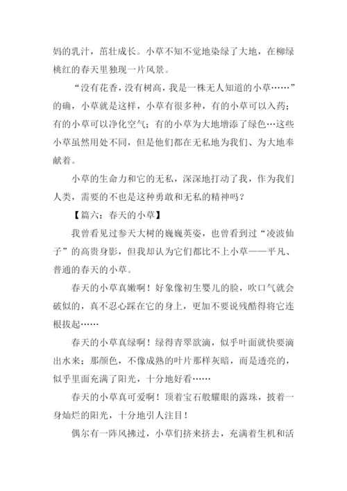 春天的小草作文300字.docx