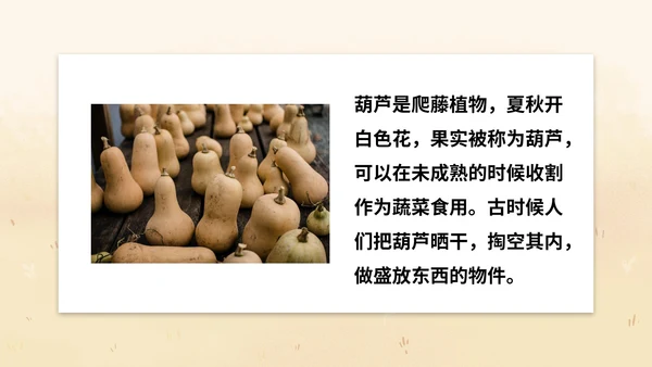 部编版二年级上册《我要的是葫芦》