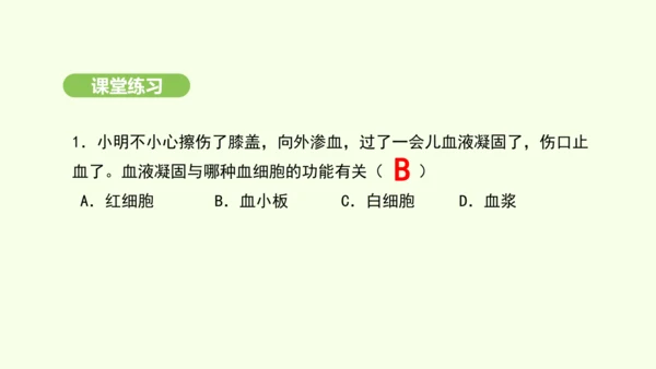 第四单元-第四章-第一节-流动的组织——血液课件-2024-2025学年七年级生物下学期人教版(20