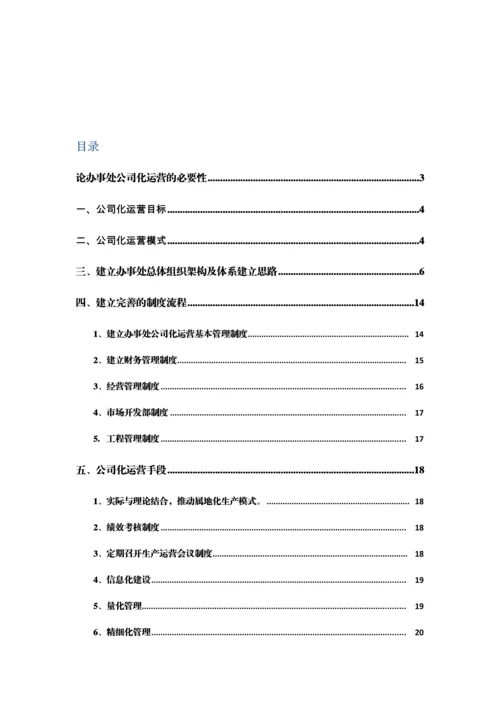 办事处公司化运营专题方案wk.docx