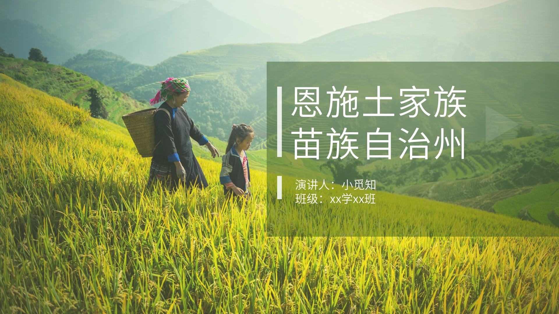 绿色商务风苗族介绍ppt模板苗族ppt