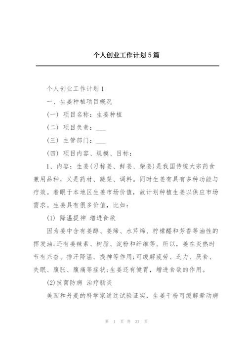 个人创业工作计划5篇.docx
