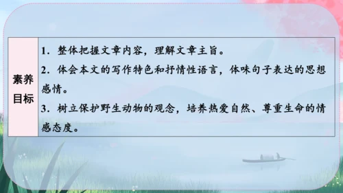 19《大雁归来》课件