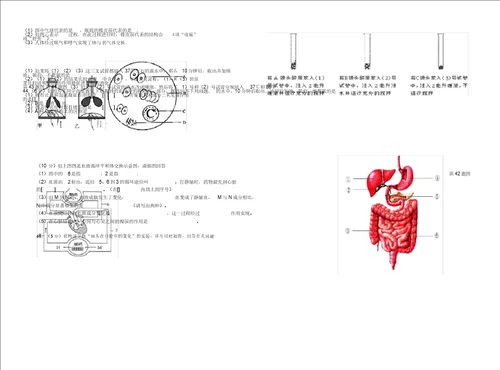 山东省苍山西镇中学2020学年七年级生物下学期期中试题无苏教版