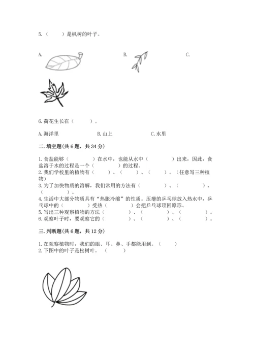 教科版科学一年级上册第一单元《植物》测试卷附答案（a卷）.docx