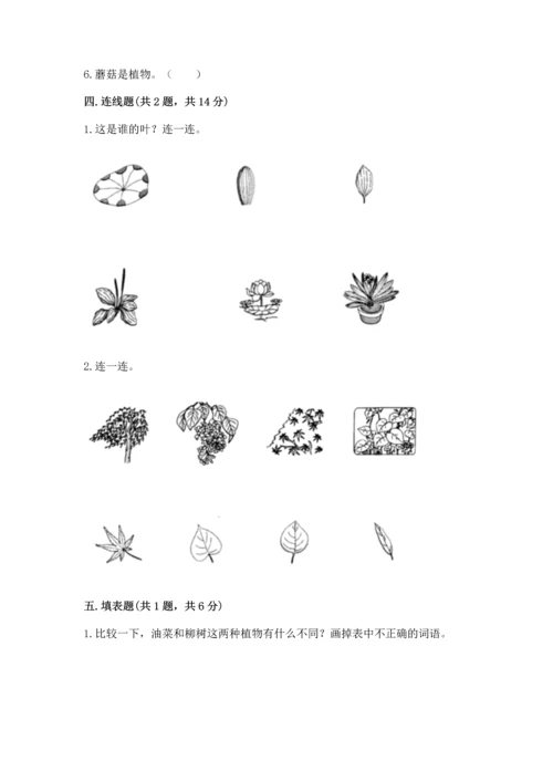 教科版科学一年级上册第一单元《植物》测试卷附参考答案（综合卷）.docx