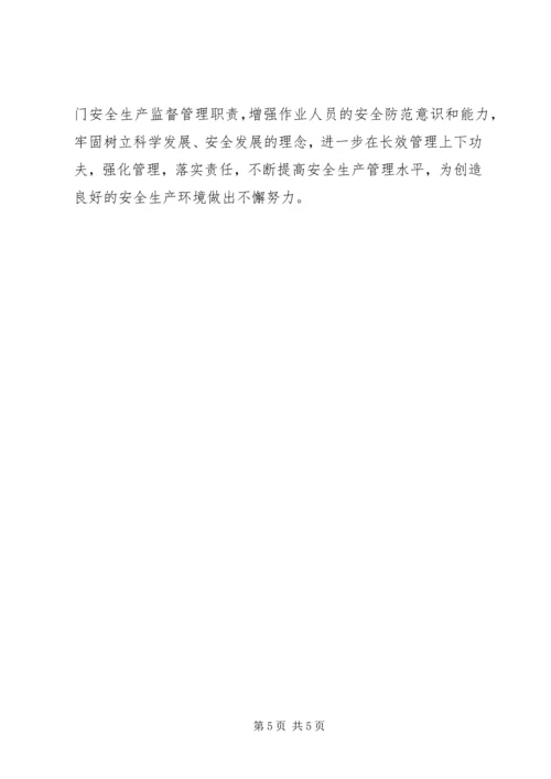 食品药品安全生产大检查工作方案 (4).docx