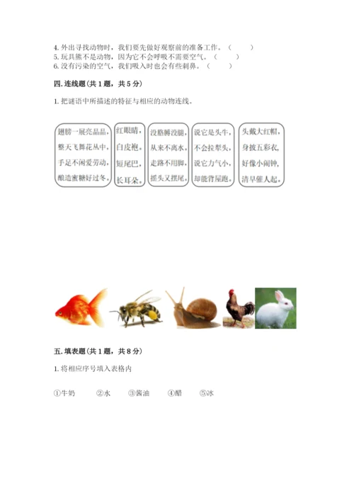 教科版小学科学一年级下册期末测试卷含完整答案（夺冠）.docx