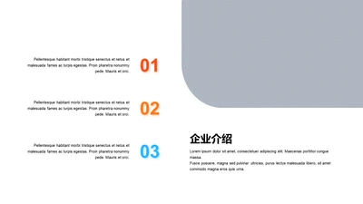 阴影PPT企业介绍