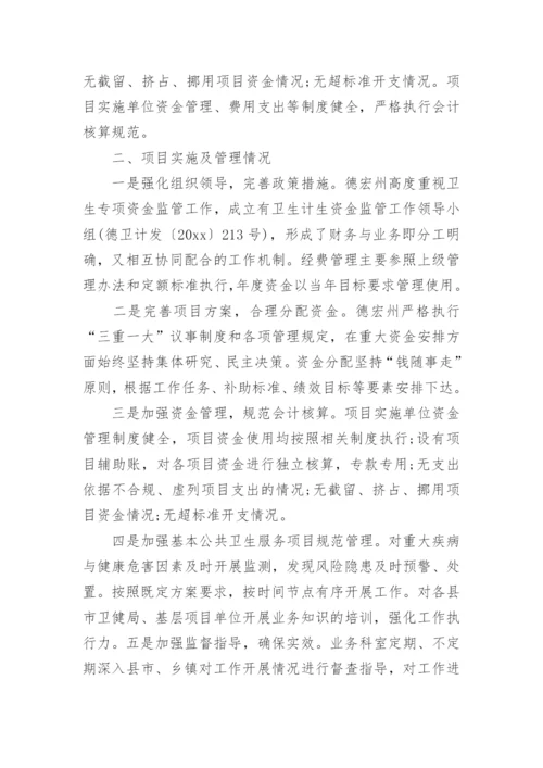 财政项目支出绩效监控报告.docx