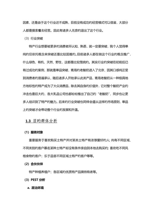 电子商务平台拓展重点规划专题方案.docx