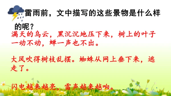 16.雷雨  课件