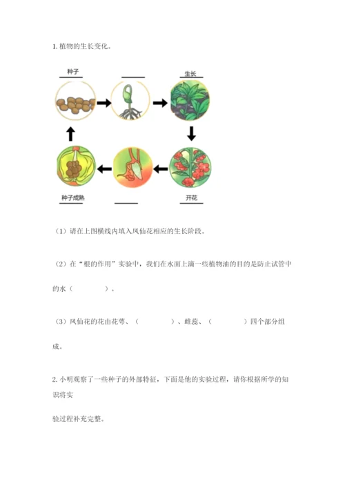 科学四年级下册第一单元《植物的生长变化》测试卷（考试直接用）.docx