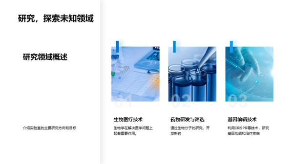 实验室半年科研之旅